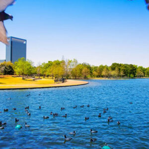 Here’s what you will find in the Texas waters during summer and spring